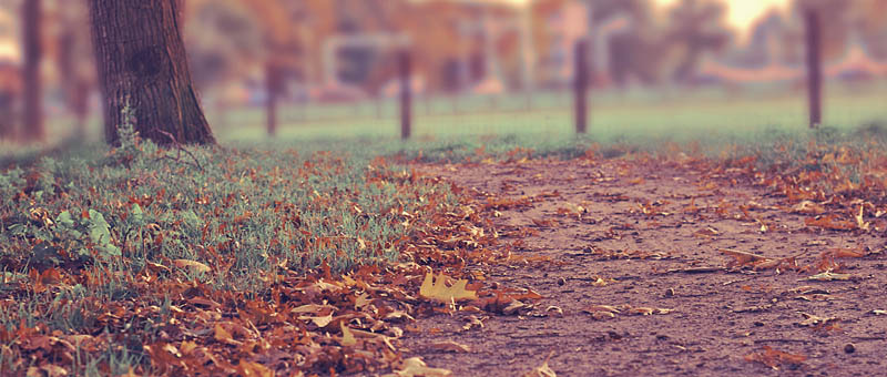 短信验证码轰炸网址免费